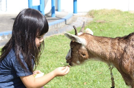 ふれあい